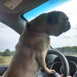 Meet your Posher, Sandy